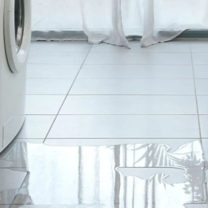 Appliance Leak Cleanup in Mountain View, WY