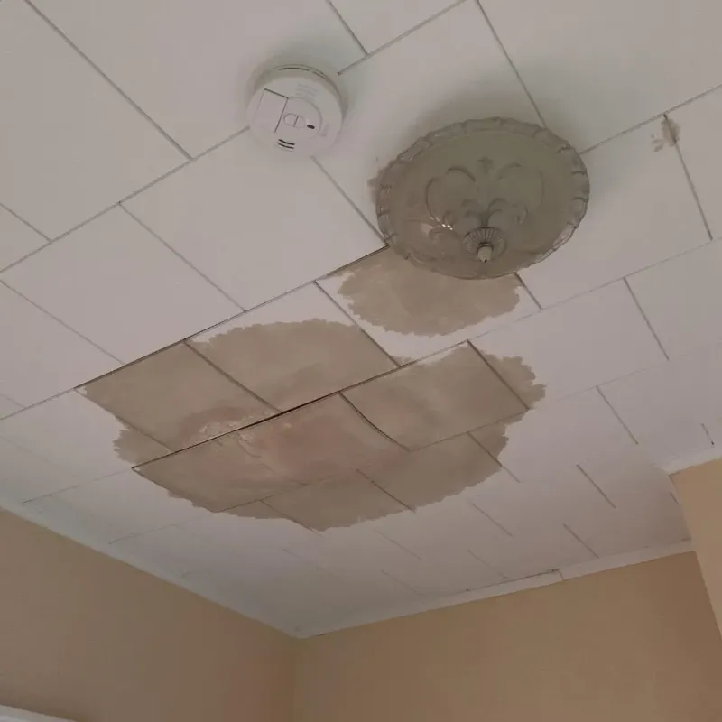 Ceiling Water Damage Repair in Mountain View, WY