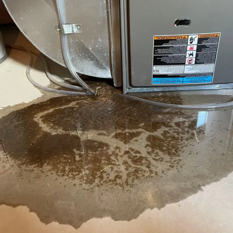 Pipe Burst and Leak Restoration in Mountain View, WY