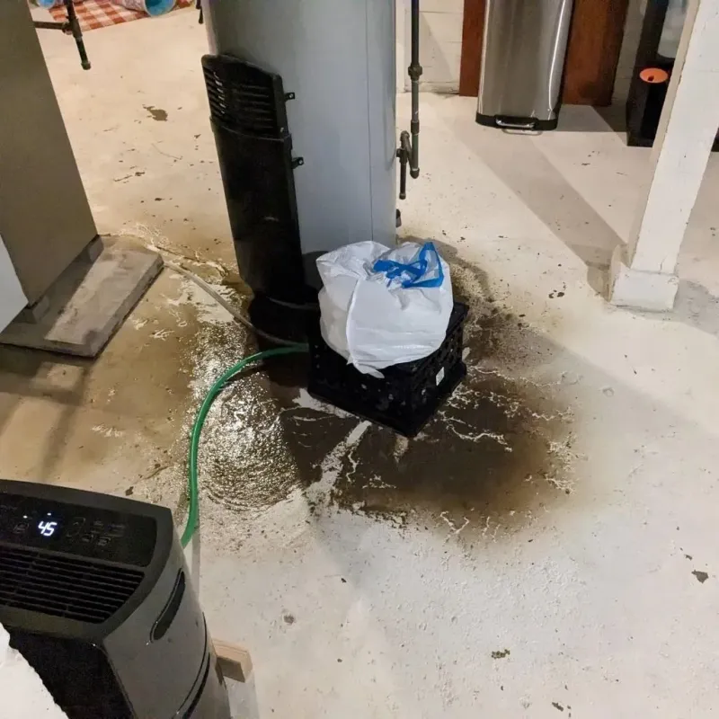 Sewage Backup Cleanup Service in Mountain View, WY